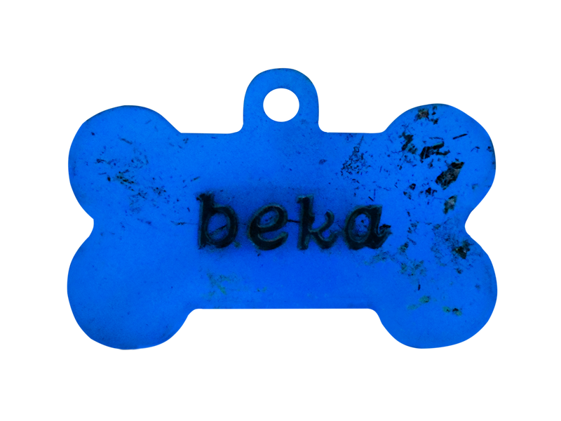 NFC Privezak za pse – NIGHT GLOW cover photo